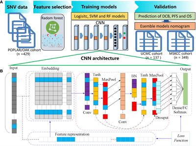 Deep learning to estimate durable clinical benefit and prognosis from patients with non-small cell lung cancer treated with PD-1/PD-L1 blockade